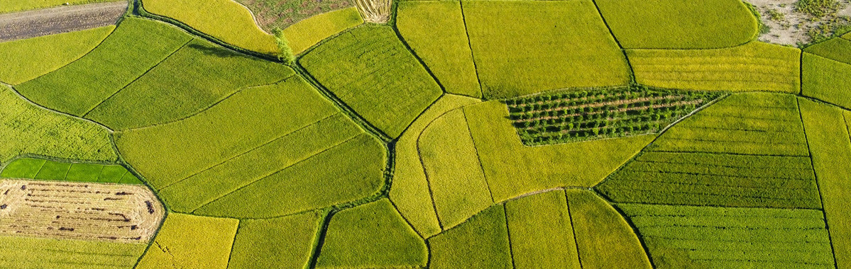 pg电子游戏试玩(中国)官方网站