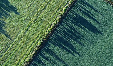 pg电子游戏试玩(中国)官方网站