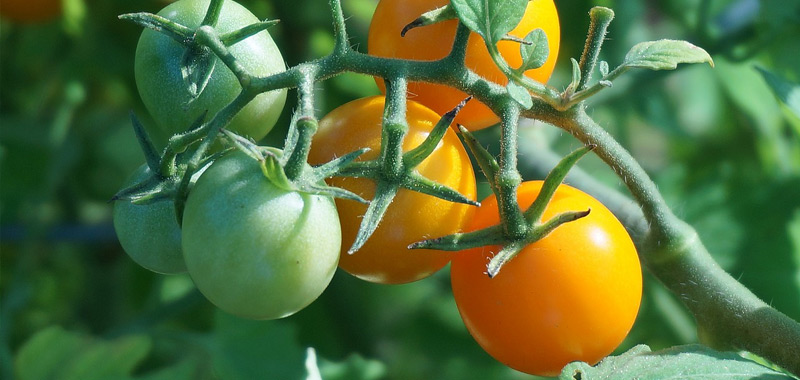 pg电子游戏试玩(中国)官方网站