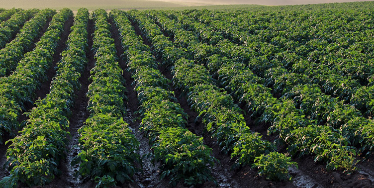 pg电子游戏试玩(中国)官方网站